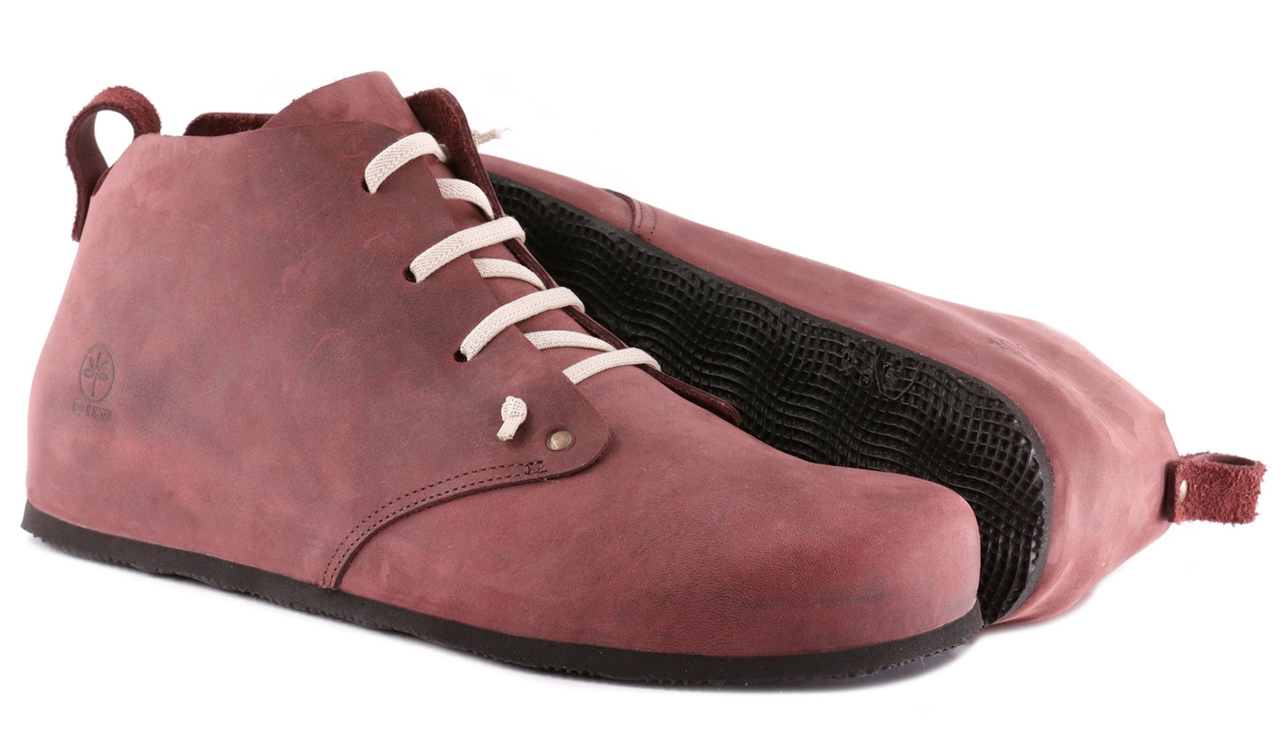 KAMBO Ingrassato Vino